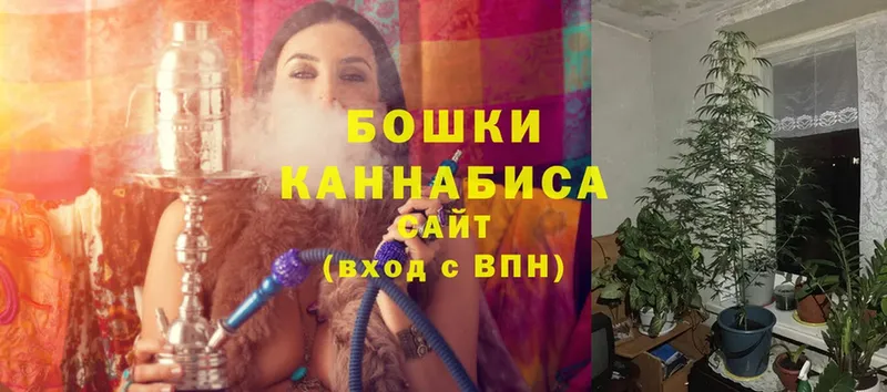 Конопля OG Kush  Жуковка 